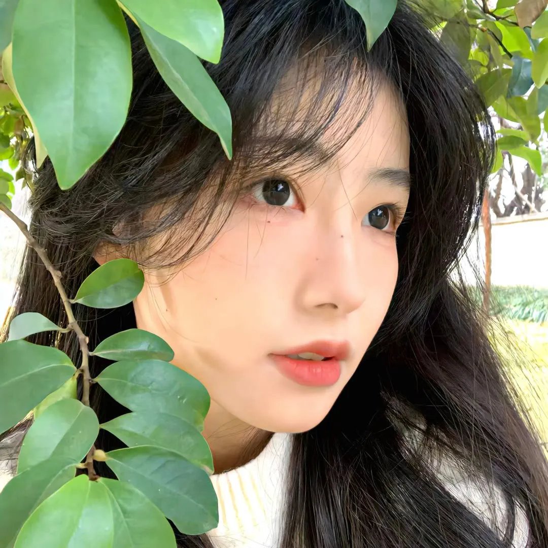 拉凡德山的暴徒